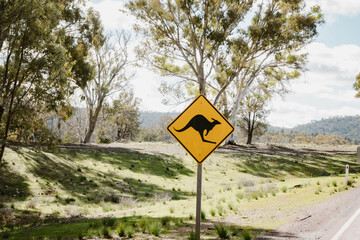 A yellow diamond-shaped sign with a black jumping kangaroo symbol on the side of the road outdoor at daytime during a road trip in Flinders Ranges the Australia.