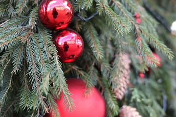 A spruce branch decorated with red shiny balls