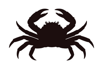 red king crab isolated on white