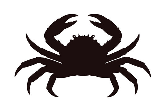 red king crab isolated on white