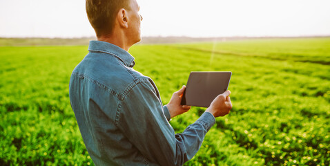 An adult farmer stands in a green field with a digital tablet at sunset. An agronomist with a digital tablet works in a sprouted field. Concept of agriculture, technology.