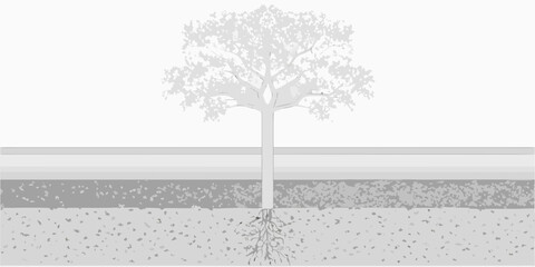 A solitary tree with visible roots stands before a layered landscape © Pabitra