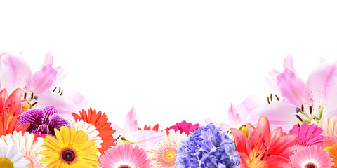 Frame flower isolated