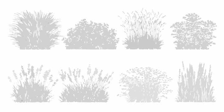 A collection of silhouetted shrubs and grasses on a white background
