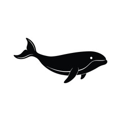 fish isolated on white background