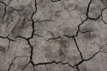 Cracked Earth Texture Showing Drought Conditions