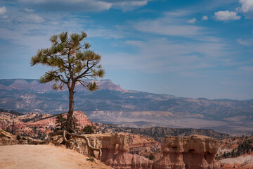 Bryce Canyon Utah