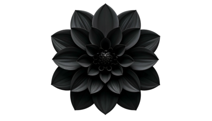 A digital rendering features a dark Dahlia bloom, petals layered, centered, set against black