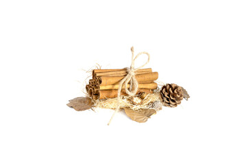 Pinecone Cinnamon Sticks Bundle Rustic Holiday Stilllife Isolated