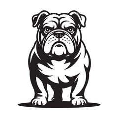 Black and white illustration of a sturdy bulldog looking directly ahead isolated