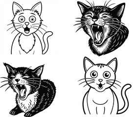 cat emotions 