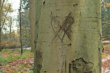 Verflossene Liebe...