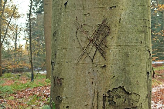 Verflossene Liebe...