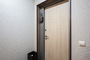 image showcases modern light wooden front door with sleek design, framed by dark wood