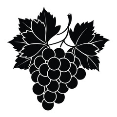 bunch of grapes vector