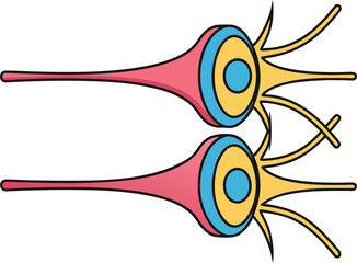 Neuron Illustration in Scientific Line Style. Human Neuron Structure Design for Education. Brain Neuron Anatomy Illustration. Neural Cell Illustration with Detailed Structure. Neuron Design