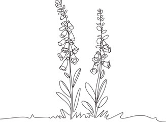 Minimalist black and white line of foxglove flowers © Mehedy
