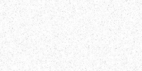 Obraz premium Fine Grain White And Grey Abstract Texture With Numerous Tiny Irregular Geometric Shapes Forming A Subtle Noise Pattern For Digital Design