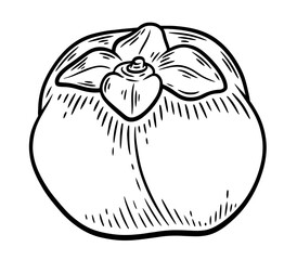 Hand drawn persimmon, monochrome engraving, line art style vector illustration isolated on white background	