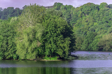 Ein dichter, sattgrüner Teppich aus Bäumen erhebt sich majestätisch in der Mitte des Sees, umrahmt von der sanften, violett-blauen Tönung des Wassers. Die Insel wirkt wie ein unberührter Zufluchtsort,