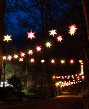 christmas tree with lights
