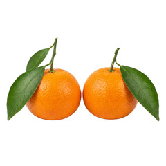 Two realistic isolated fresh oranges with vibrant green leaves on Transparent Background