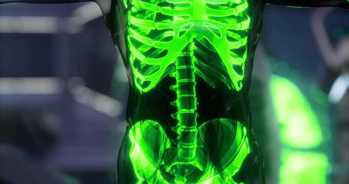 This illustration features the human skeleton clearly displayed with emphasis on bone structures. The bones glow in neon green, highlighting anatomical details and enhancing visibility.