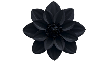 A centered, top-down view of a dark, stylized flower with layered petals on black background