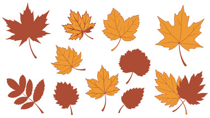 Autumn Leaves Collection: A captivating collection of diverse autumn leaves gracefully scattered, a visual symphony of the fall season, expressing the change of season, warm tones.