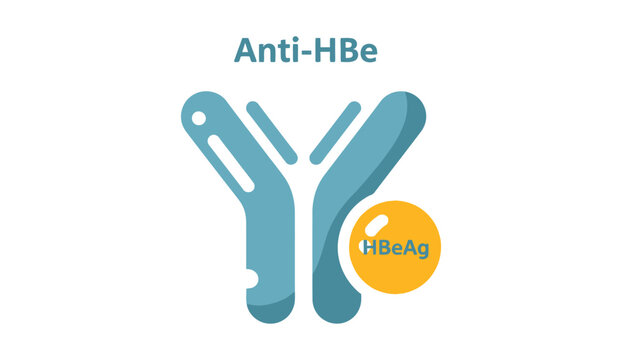 Immunology concept illustration showing Anti-HBe (Hepatitis B e-Antigen Antibody) antibody molecules in a blue-green Y shape binding to yellow circular e-Antigen (HBeAg) particles.
