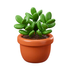 Green succulent plant in terracotta pot isolated on white background.