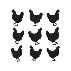 Hen Silhouettes Collection,Hens Silhouettes,Vector Hen Silhouettes,Farm Hen Silhouettes,hen vector