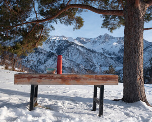 Winter mountain landscape with wooden table and bench. There is a red thermos and a bowl on the table. Snow, sun and a big tree. Perfect for a winter vacation theme