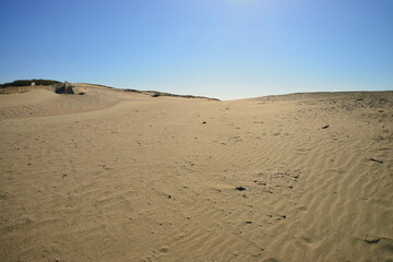 浜岡砂丘　静岡県 御前崎市
