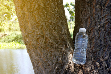 Plastic water bottle wedged between tree trunks outdoors, highlighting environmental pollution and...