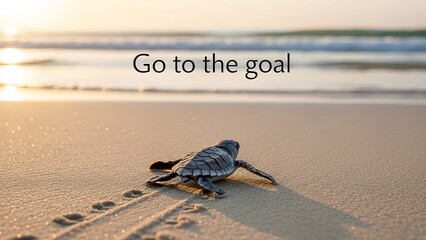 Baby Sea Turtle Crawling Toward the Ocean at Sunrise with Motivational Text
