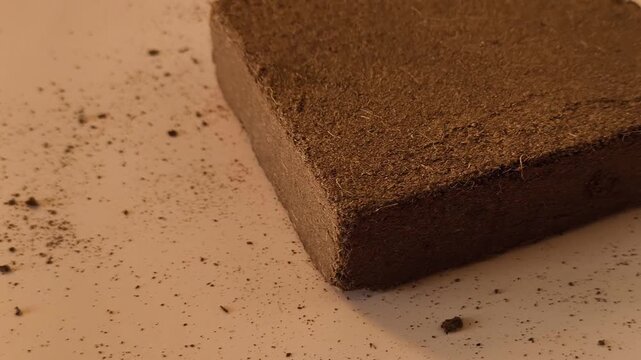 Square block of dry pressed coconut substrate for plants, seedlings, flowers. Soil for terrarium