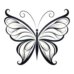 Elegant Black and White Butterfly Illustration insect