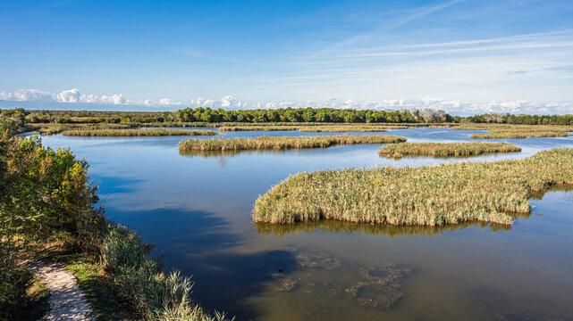 nature sceneries inside the Oasi di Vallevecchia di Brussa, Caorle, Venice, Italy
