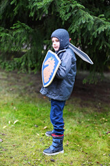 Kid boy in knight costume