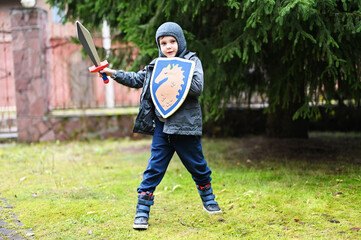 Kid boy in knight costume