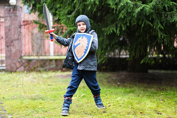 Kid boy in knight costume