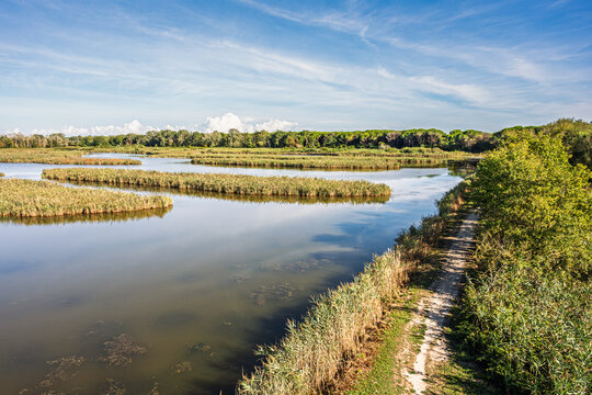nature sceneries inside the Oasi di Vallevecchia di Brussa, Caorle, Venice, Italy
