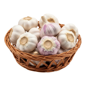 A wicker basket filled with several bulbs of garlic isolated on transparent background