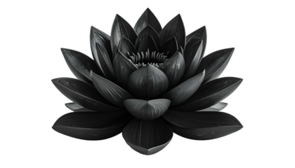 A grayscale lotus flower, fully bloomed, set against a stark black background