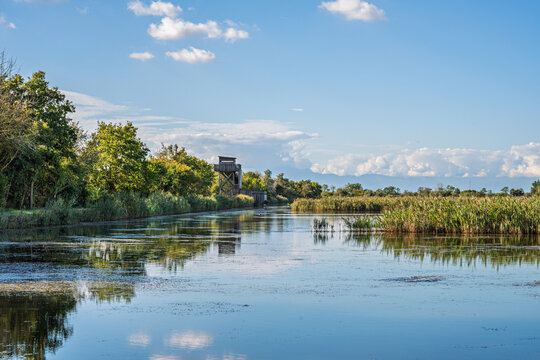 nature sceneries inside the Oasi di Vallevecchia di Brussa, Caorle, Venice, Italy