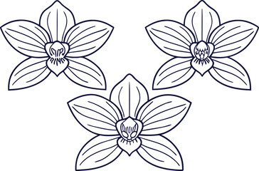 Orchid Flower Set in Clean Outline Strokes. Minimal Orchid Flower Design with Line Art Style. Botanical Orchid Flower Illustration in Outline. Elegant Natural Orchid Flower Collection in Linear Style