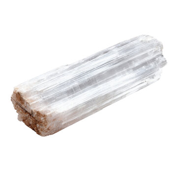 Single Selenite Wand Crystal White Luminous Isolated