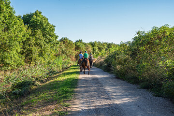 Obraz premium people riding horses inside the Oasi di Vallevecchia di Brussa, Caorle, Venice, Italy