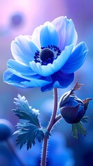 Vibrant blue flower in soft focus